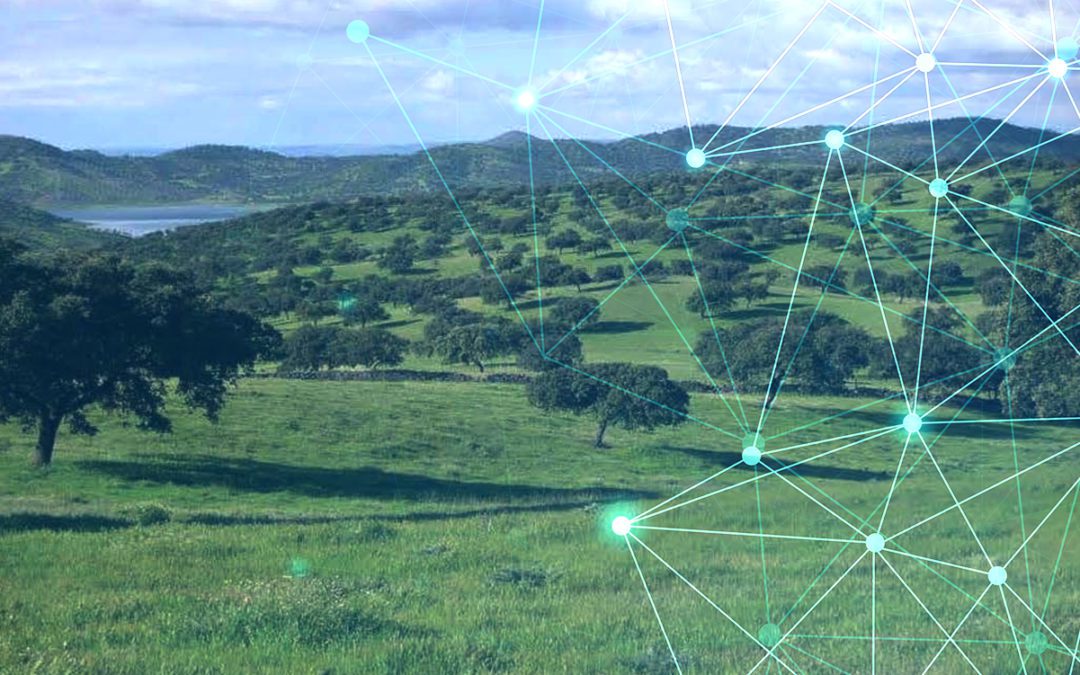 OPENSIGHT for wall-to-wall forest structure mapping | The new scientific publication by FlySight