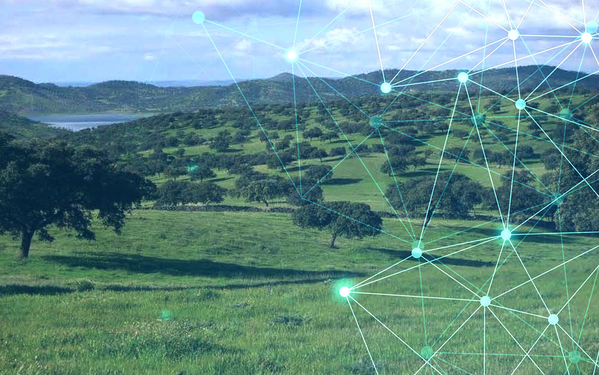 Scientific Publication OPENSIGHT for forest structure mapping